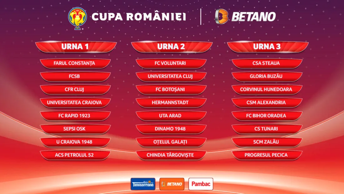 Cluburile calificate în faza grupelor Cupei României. FRF explică de ce Dinamo și Chindia sunt în Urna 2, iar Steaua este în Urna 3. Când are loc tragerea la sorți