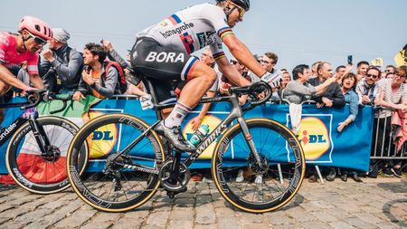 (P) Cursiera: un drum spre disciplină, echilibru și performanță