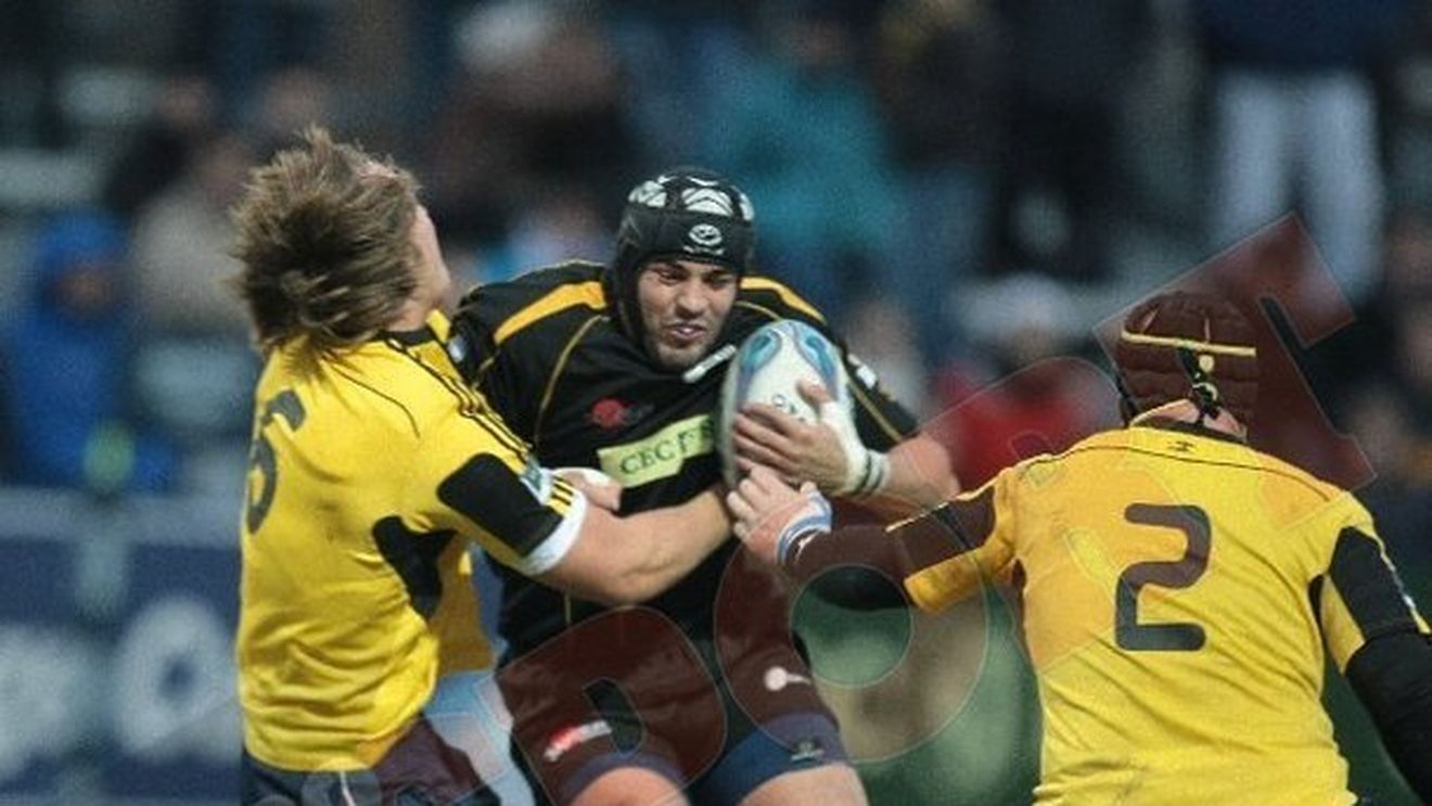 "Lupii" sunt decimați de accidentări pentru meciul cu Worcester