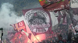 Poza 1