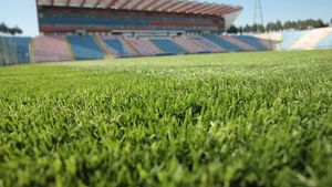 Neșu: „Steaua trebuie să revină în Ghencea"