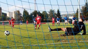 Comentariul LIVE al meciului Dinamo - Grenoble 1-1