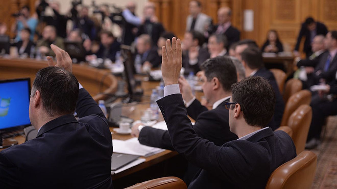 Soarta Stelei s-a discutat în Senat. Ce concluzii au tras membrii Comisiei de Apărare și ce misiune a primit ministrul Gabriel Leș