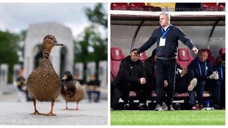 Sa râdem cu Marius Șumudică! Antrenorul, amintiri unice din sărăcia trăită la Astra Giurgiu: „Era unul în fața mea cu o rață în geantă, scosese aia botul afară”