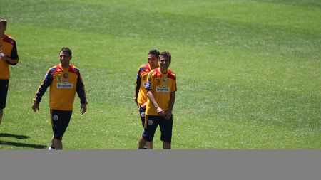 'Nu poți juca la nivelul lui Mutu, dar am încredere în înlocuitorul lui'