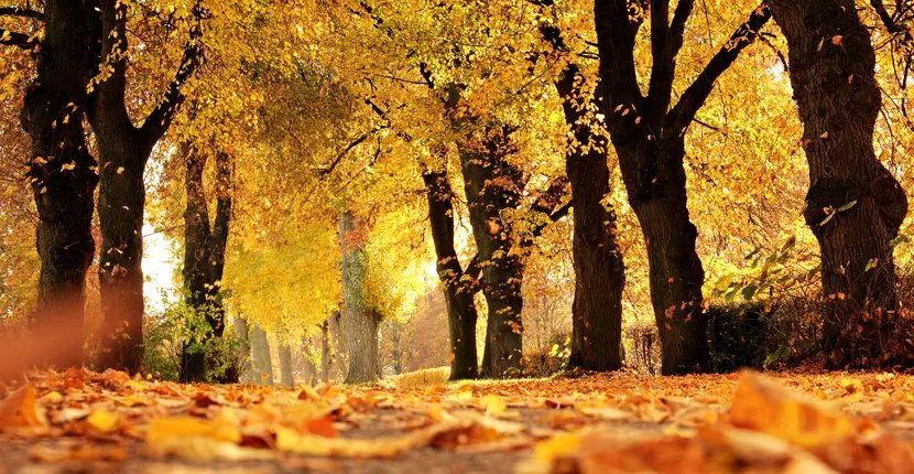 Prognoza meteo, 25 septembrie 2020: temperaturi ridicate pentru această perioadă