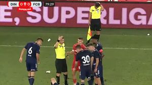 Jandarmeria, răspuns oficial după ce arbitrul asistent a fost lovit în cap cu un pahar în cap la Dinamo - FC Botoșani! Ce se întâmplă cu fanul „câinilor” care a aruncat obiectul în suprafața de joc
