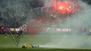 Doi suporteri timișoreni s-au ales cu dosare penale**