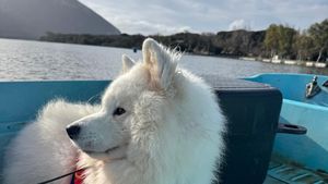 Companie inedită în cantonamentul din Italia pentru canotori! Câinele Hugo a devenit mascota Team Romania