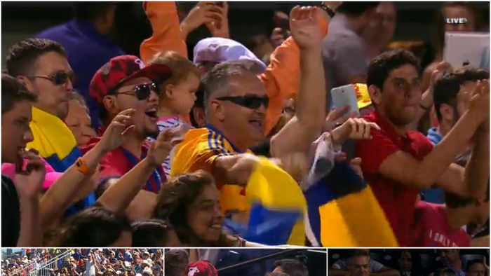 FOTO | Românii au făcut spectacol la Miami. Fanii Simonei Halep, considerați mai înfocați decât suporterii lui Roger Federer