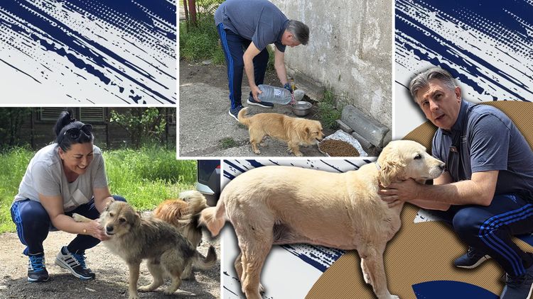 EXCLUSIV Haita lui Lupescu: reportaj la ferma din Snagov unde dinamovistul și soția hrănesc și îngrijesc zilnic peste 20 de câini. „Adoptați! Animalele nu-și aleg capul haitei un idiot”