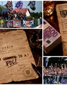 Contre între suporteri înainte de Știința Poli Timișoara – Steaua! Derby-ul programat la Sibiu a început deja cu mesaje ironice între cele două galerii
