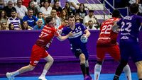 Cât a costat organizarea Final Four-ului Cupei României la handbal masculin. SCM Timișoara a făcut anunțul