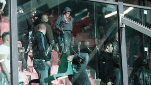 "Câinii" în alertă! **Suporterilor dinamoviști li se poate interzice accesul pe Ghencea la derby!