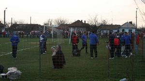 Giovani despre steliști:** "Vii cu elicopterul și te antrenezi cu vacile?"