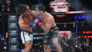 Decizie fără precedent în Franța: MMA-ul scos în afara legii, după ultimul decret dat de Ministerul Sportului