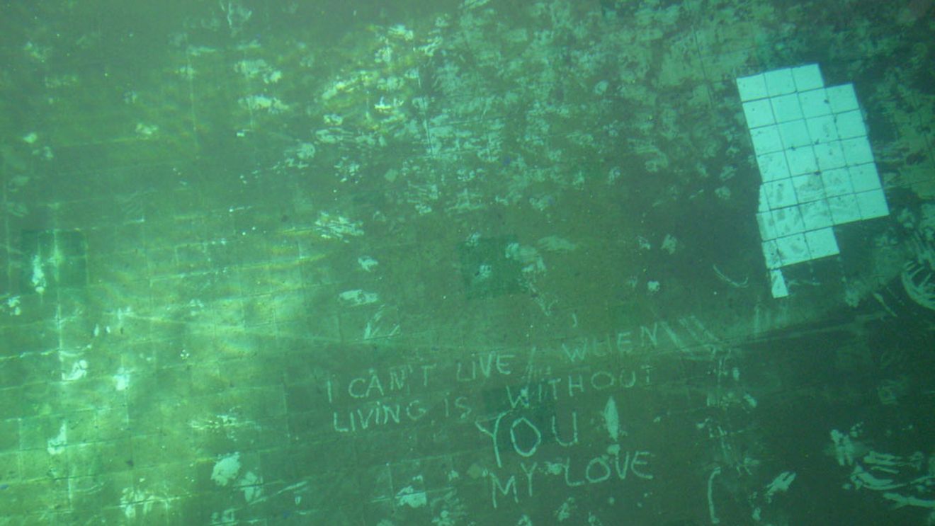 Plonjon in matasea broastei si sarituri pe bureti