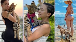 Ea este pisica plină de bani, care a uimit pe toată lumea! Stăpâna cheltuia cu ea zeci de mii de dolari și a dezvăluit cât dă doar pe mâncare. Amintire inedită: „A sărit mai multe etaje” | FOTO