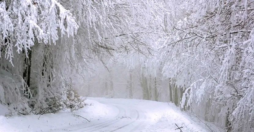 Prognoza meteo, 1 februarie 2021: precipitaţii, polei şi vânt în toată ţara!