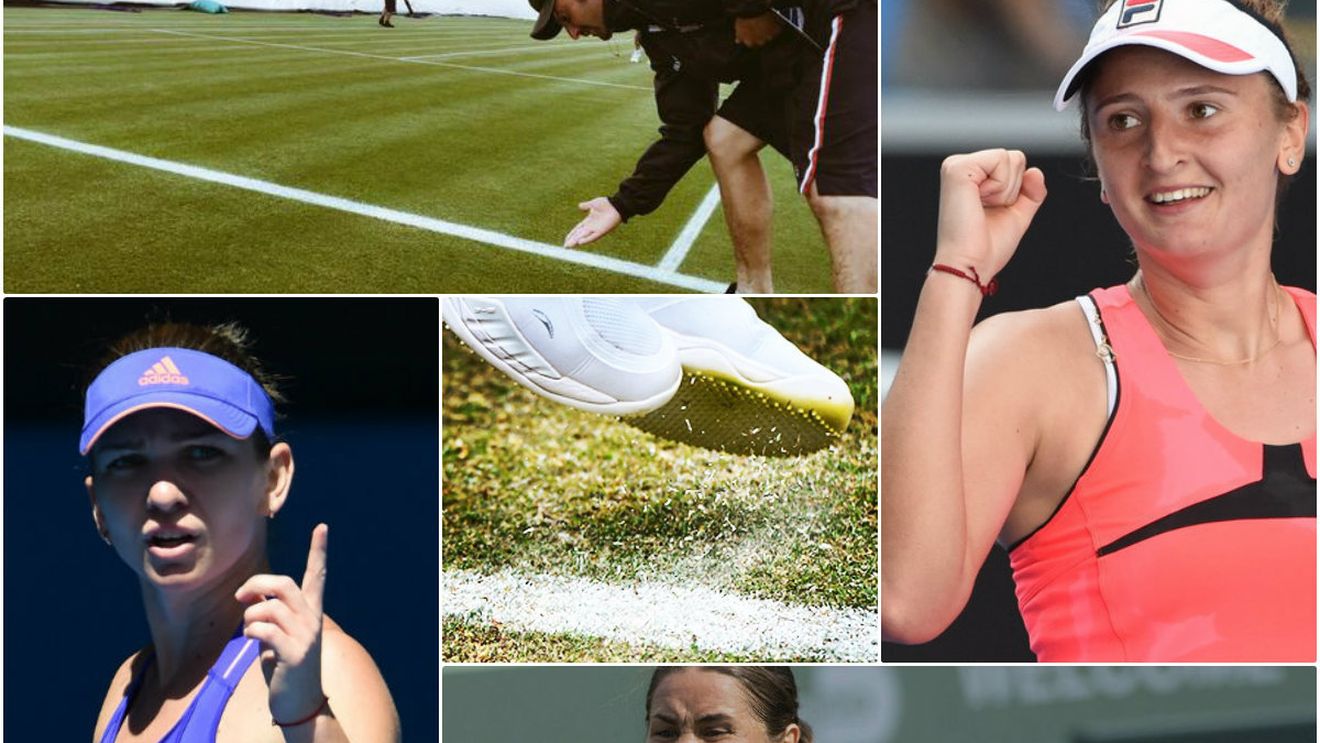 Halep, în "optimi" la Birmingham: victorie de rutină cu inconstanta Broady, la debutul pe iarbă. Begu, învinsă de Hantuchova în meciul șanselor ratate. Niculescu, victimă în fața cehoaicei Strycova