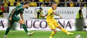 Mihai Rotaru dezvăluie cum s-a trăit în Bănie partida România – Lituania 3-1. „În momentul în care a marcat Mitriță, Craiova a explodat. El e exponentul fotbalului modern din Oltenia”. EXCLUSIV