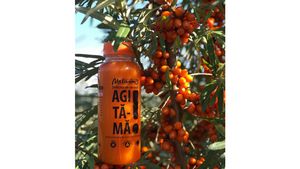 Sanatatea inainte de toate! Combinația perfectă pentru o sănătate de fier: Cătină cu miere