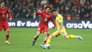 Milionarul din fotbalul românesc a luat un private jet și a zburat la Istanbul pentru a vedea Turcia - România