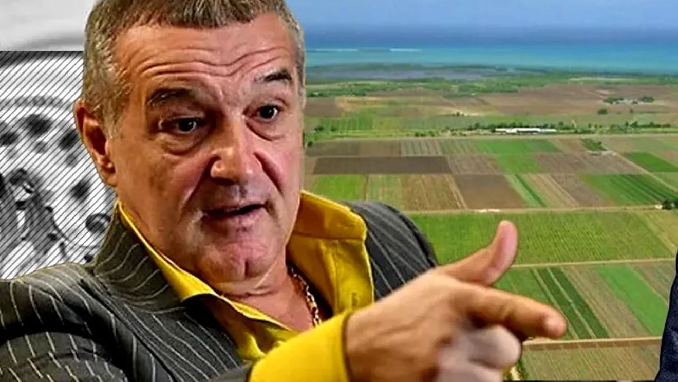 Apare cartierul Gigi Becali. Dezvăluiri fabuloase despre proiectul imobiliar revoluționar: „Bulevard de 21 de metri lățime. Singurul cartier din București cu 8 ieșiri”