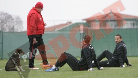 SUPER GALERIE FOTO** Dinamo a "transferat" un nou atacant: e dresat să înscrie și are eficiență MAXIMĂ‚ :)