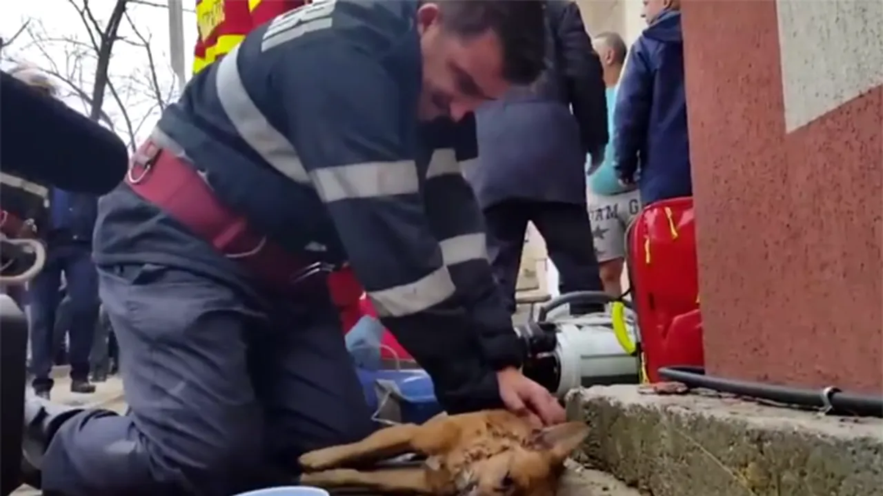 Gest de suflet pentru bărbatul care a înduioșat întreaga Românie. FOTO | Cadoul steliștilor pentru pompierul-erou din Pitești