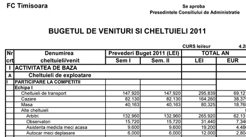 INEDIT Transparență totală la Timișoara!** Vezi lista cu cheltuielile preconizate pentru 2011 de șefii bănățenilor!