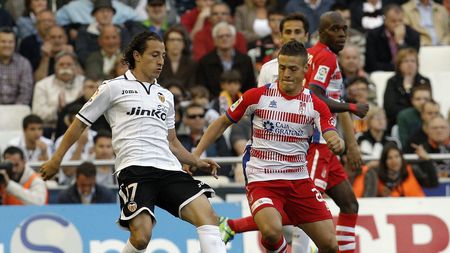 Surpriză pentru Torje: ar putea fi coleg cu Rafael Van der Vaart în Bundesliga! 