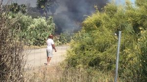 Cumplit! FOTO & VIDEO de la locul accidentului lui Reyes. Cum arată mașina: "A murit ars!"