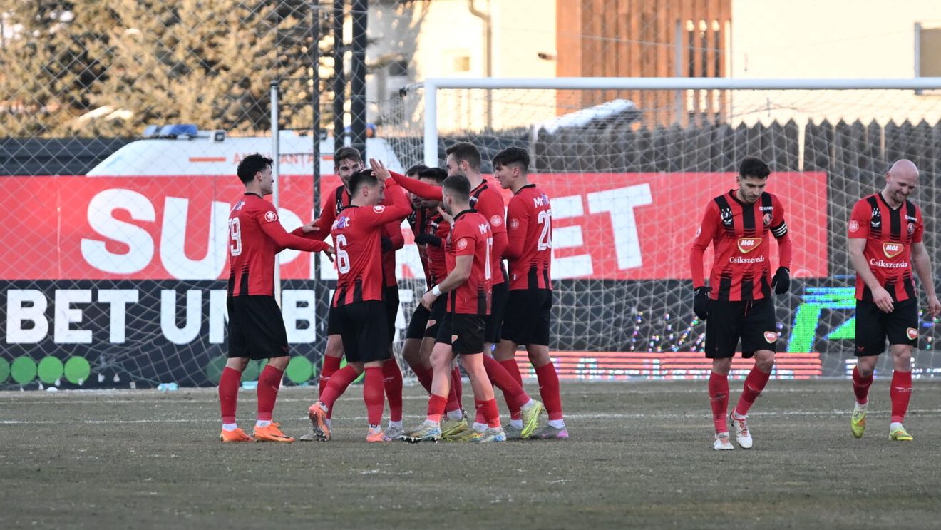 Csikszereda - FC Botoșani 1-0, în etapa 22 din Superliga. Gazdele reușesc surpriza