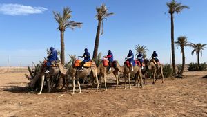 Componentele lotului de box al României se află în Maroc unde sportivele au trăit o experiență inedită. „A fost pentru prima dată când am făcut așa ceva" | SPECIAL