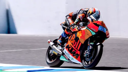 Un cangur a intrat pe circuit la antrenamentele pentru Marele Premiu al Australiei la MotoGP