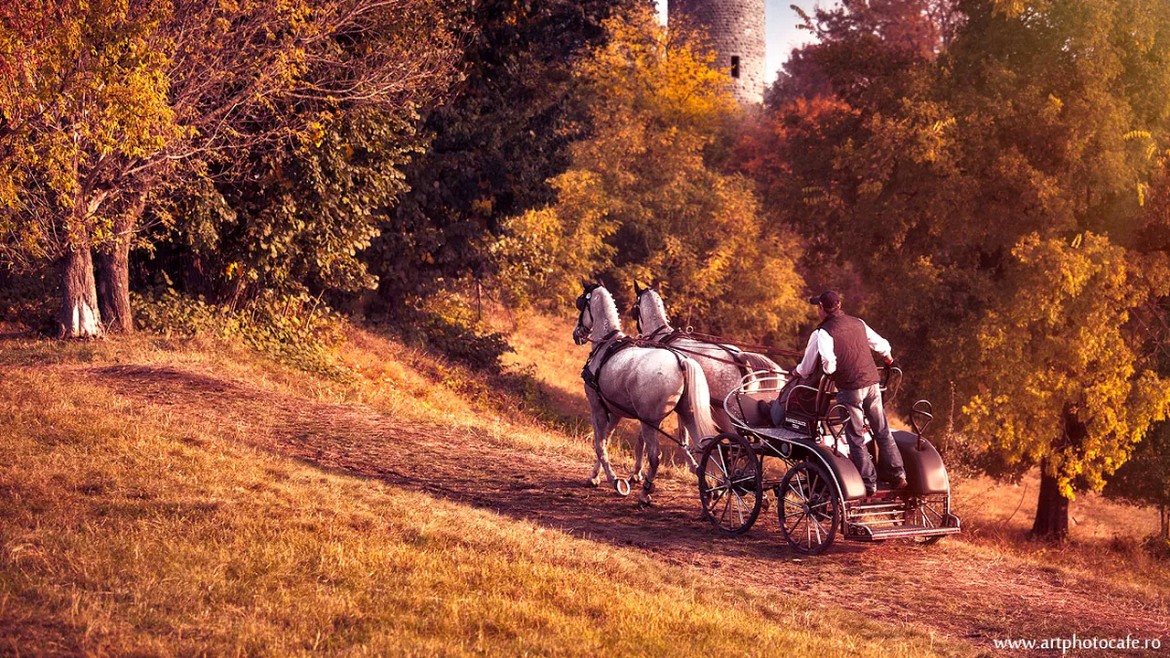 Karpatia Horse Trials a pus Domeniul Cantacuzino Florești pe harta celor mai importante evenimente ecvestre