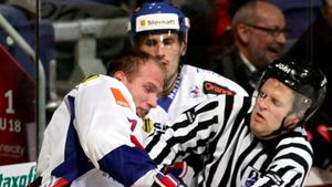 Supărare dusă la extrem!** Un hocheist slovac a ucis un arbitru!