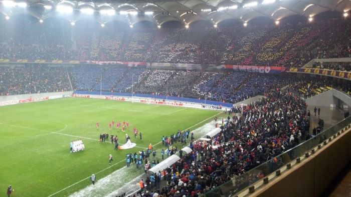 Neșu, IMPRESIONAT de coregrafia GENIALĂ‚ a Stelei!** "Asta au făcut fanii pentru mine!" Reacția "Bichonului"