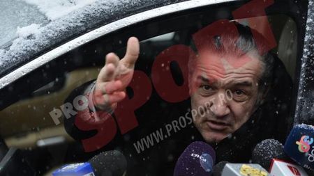 Becali anunță că Steaua va lua licența fără probleme!** Metoda prin care a reușit să-i fenteze pe cei de la FCM Bacău: "Federația m-a învățat"