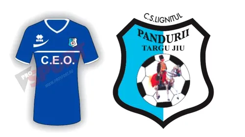 CS Pandurii Târgu Jiu 2013 – 2014: informații generale, lotul de jucători, transferuri și echipa tip