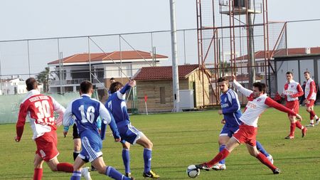 "Câinii" l-au enervat pe Borcea! **