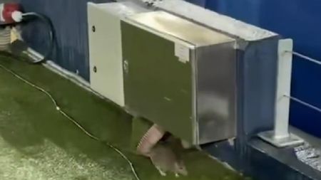 Șobolani cât pisica pe Camp Nou, stadionul modernizat cu 1,45 miliarde de euro