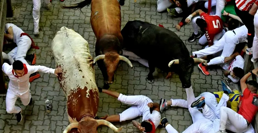 Festivalul de la Pamplona: Trei oameni au fost împunşi de tauri. La finalul spectacolulului, animalele au fost ucise