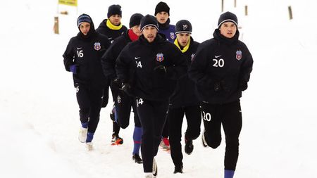 Le-au văzut pe toate!** Prin ce au trecut steliștii în pregătirea de iarnă și cum tânjesc acum după un gazon bun