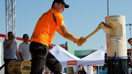 România își alege sâmbătă reprezentantul pentru campionatele mondiale a tăietorilor de lemne din Norvegia