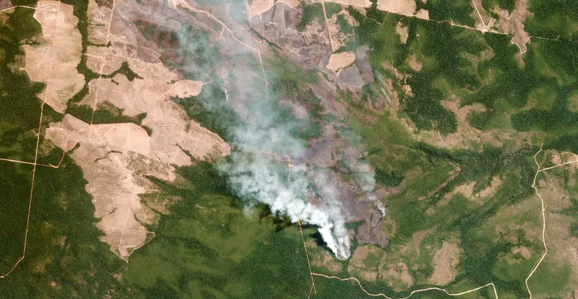 VIDEO | Imagini dezolante cu incendiile care mistuie Pădurea Amazoniană