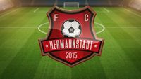 Cutremur în fotbalul românesc! Hermannstadt a cerut intrarea în faliment