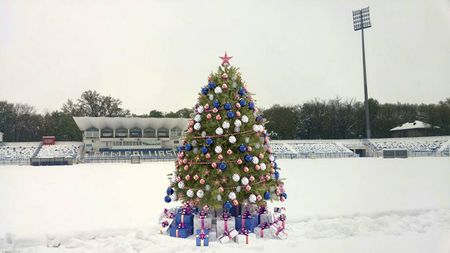IMAGINEA ZILEI vine de pe un stadion din Liga 1. Bradul de Crăciun a ajuns în mijlocul terenului :)