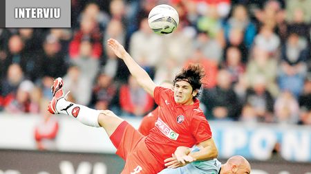 "Alerg până la epuizare"